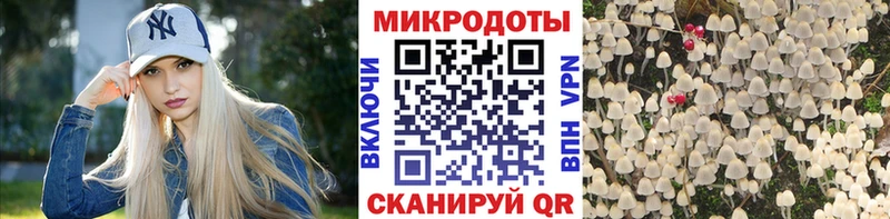 Галлюциногенные грибы мухоморы  Купить закладки  Бабушкин 